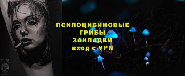 мяу мяу мука Аркадак